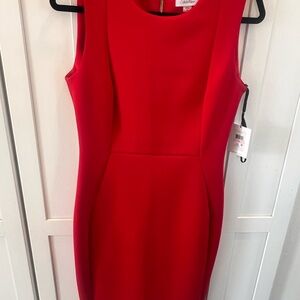 Size-10 NWT Calvin Klein Red Women's Dress W/gold zipper STUNNING ON!